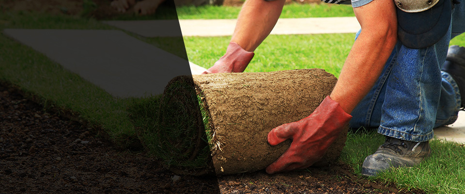 Safety Harbor Landscapers